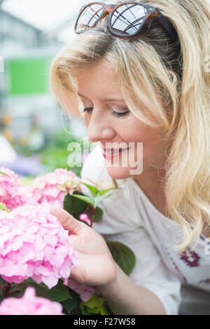 Reife Frau riechen Hortensie Blumen im Gartencenter, Augsburg, Bayern, Deutschland Stockfoto
