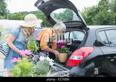 Shop Assistant hilft einen Kunden setzen Pflanzen in einem Kofferraum eines Autos, Augsburg, Bayern, Deutschland Stockfoto