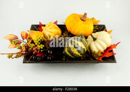 Kalebassen & Herbstlaub auf weißem Hintergrund Stockfoto