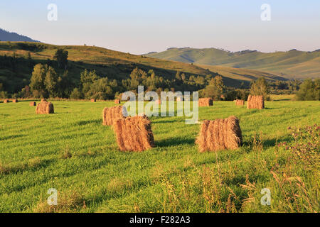 Heuhaufen auf grünen Rasen in den Bergen. Stockfoto