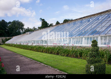 Großen viktorianischen Gewächshaus in Floors Castle ummauerten Gärten Kelso, Schottland Stockfoto