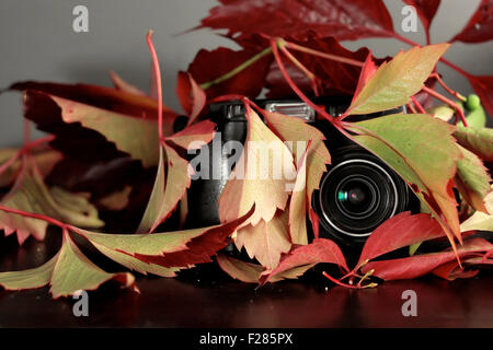Spion-Kamera Stockfoto