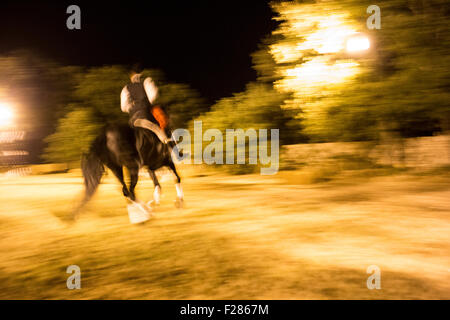 La Faraona Bauernhof, Italien. 12. Sep, 2015. Show der Tradional Apulien schwarze Pferde und Domke, für das Festival Vendemmia Credit: Francesco Gustincich/Alamy Live News Stockfoto