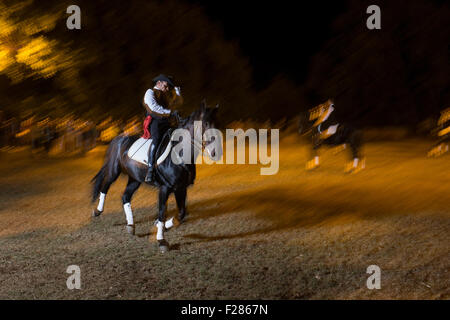 La Faraona Bauernhof, Italien. 12. Sep, 2015. Show der Tradional Apulien schwarze Pferde und Domke, für das Festival Vendemmia Credit: Francesco Gustincich/Alamy Live News Stockfoto