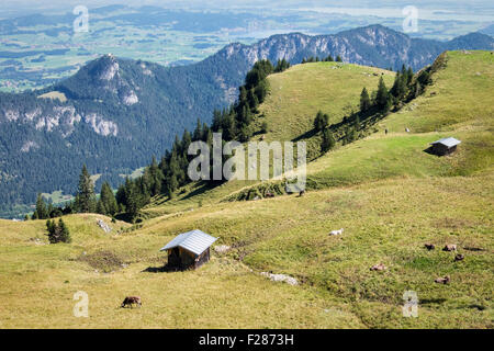 Breitenberg Berg in Tannheim Angebot, Bayern, Deutschland. Bauernhof Hütten auf die bayerischen Alpen, Berge und Weidevieh Stockfoto