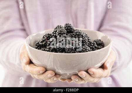 Mitte Schnittansicht Frau hält eine Schale mit Brombeere, Bayern, Deutschland Stockfoto