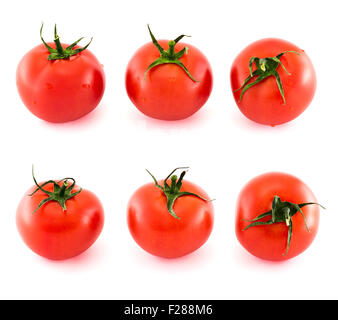 Sechs frische Tomaten in verschiedenen Verkürzungen isoliert auf weißem Hintergrund Stockfoto