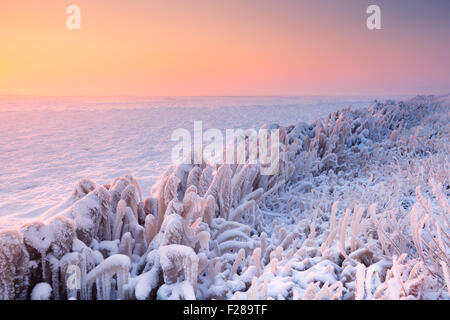 Sonnenaufgang über einen gefrorenen See an einem rekordverdächtigen kalten Morgen in den Niederlanden. Stockfoto