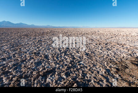 Salinen bei Laguna Chaxa, Atacama-Wüste Stockfoto