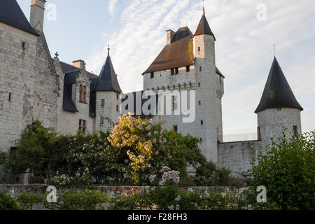 Chateau du Schlosses, frühen Morgenlicht mit Rosenbeete im Vordergrund Stockfoto