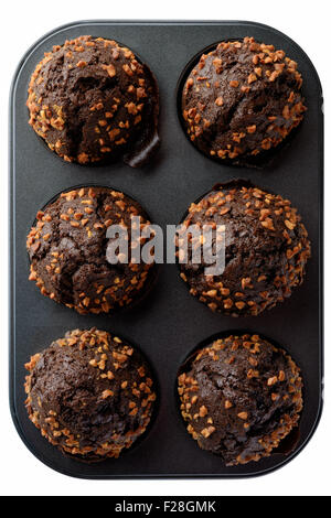 Essen: dunkle Schokoladen-Muffins mit gerösteten Erdnüssen in Backform, isoliert auf weißem Hintergrund Stockfoto