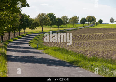 Straße, die durch ländliche Landschaft, Bayern, Deutschland Stockfoto