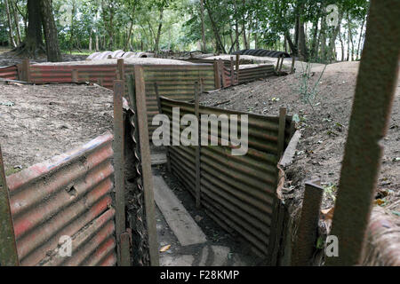 Erhaltenen Gräben im Heiligtum Holz, Flandern, Belgien Stockfoto