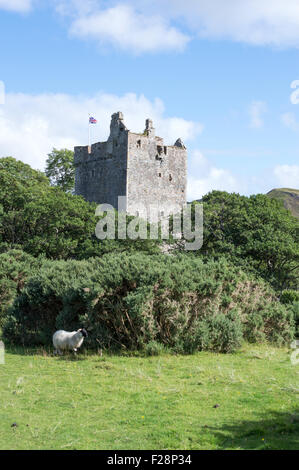 Moy Castle, Loch Buie, Isle of Mull, Inneren Hebriden, Argyle und Bute, Scotland, Großbritannien Stockfoto