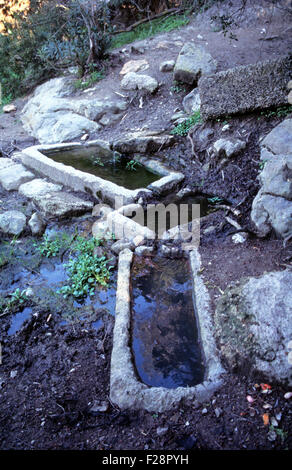 Antike Zisterne gehauenen Stein über eine Feder im Wald entdeckt, Yeni Erenkoy, Karpaz Halbinsel, Nord-Zypern Stockfoto