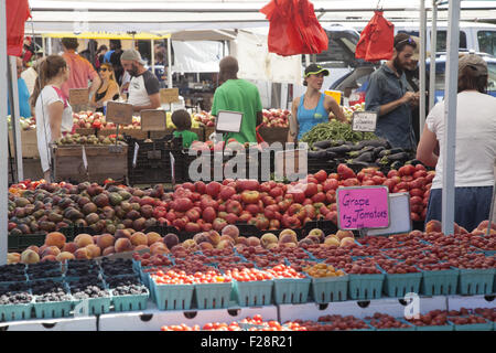 Gesundheits-bewusste Menschen-Shop an der Grand Army Plaza Farmers Market in Brooklyn, New York. Stockfoto