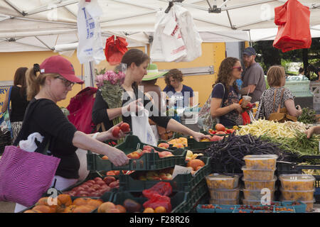 Gesundheits-bewusste Menschen-Shop an der Grand Army Plaza Farmers Market in Brooklyn, New York. Stockfoto