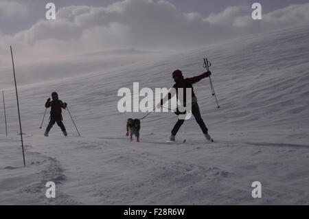 Langlaufen im norwegischen Hochgebirge an einem windigen Februartag. Stockfoto