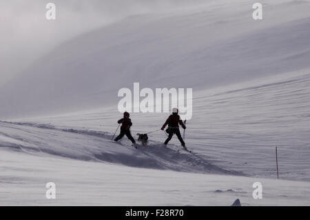 Langlaufen im norwegischen Hochgebirge an einem windigen Februartag. Stockfoto