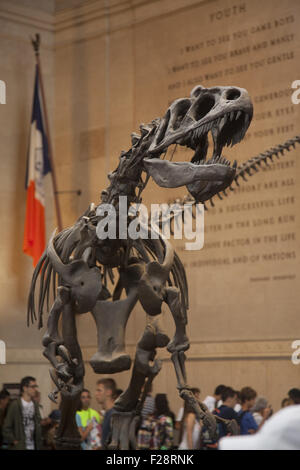 Inmitten der Besucher schützt ein Barosaurus ihre Jungen vor einem angreifenden Allosaurus in der Eingangshalle an das American Museum Of Natural History in Manhattan. Stockfoto