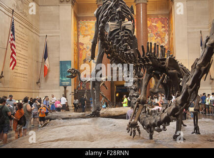 Inmitten der Besucher schützt ein Barosaurus ihre Jungen vor einem angreifenden Allosaurus in der Eingangshalle an das American Museum Of Natural History in Manhattan. Stockfoto