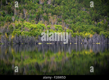 Peking, China. 13. Sep, 2015. Foto aufgenommen am 13. September 2015 zeigt Herbstlandschaft des Wusulangzi-Sees in Westmichigan Hinggan Liga, Nord-China autonomen Region Innere Mongolei. © Lian Zhen/Xinhua/Alamy Live-Nachrichten Stockfoto