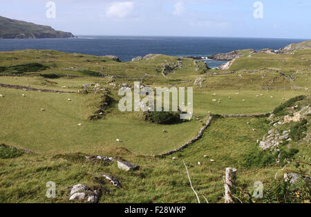 Ackerland mit Blick auf Sheephaven Bay bei Portnablagh County Donegal Ireland Stockfoto