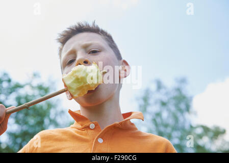 Nahaufnahme eines jungen Essen einen Apfel, Bayern, Deutschland Stockfoto