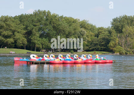 Schwan geformt Vergnügen Boote auf dem See im Stanley Park, Blackpool, Lancashire Stockfoto