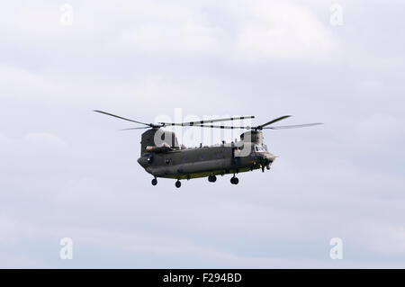 Seitenansicht von einem britischen Armee Chinook-Hubschrauber im Flug Stockfoto