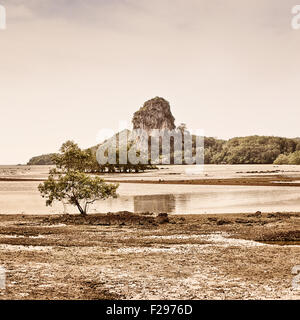 dramatische Landschaft bei Ebbe in Thailand, Sepia getönt Stockfoto