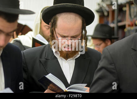 Am Tag vor dem jüdischen Neujahr betet religiösen jüdischer Mann in der Nähe der Lubawitscher Rebbe Grabstätte in Queens, New York Stockfoto