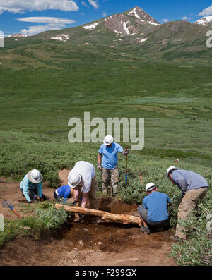 Georgetown, Colorado - Freiwilligen pflegen der Mt.-Bierstadt-Trail im Wildnisgebiet Mt. Evans. Stockfoto