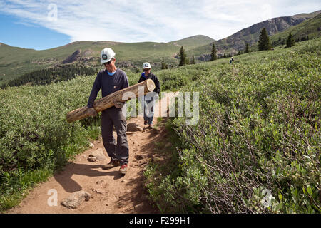 Georgetown, Colorado - Freiwilligen pflegen der Mt.-Bierstadt-Trail im Wildnisgebiet Mt. Evans. Stockfoto