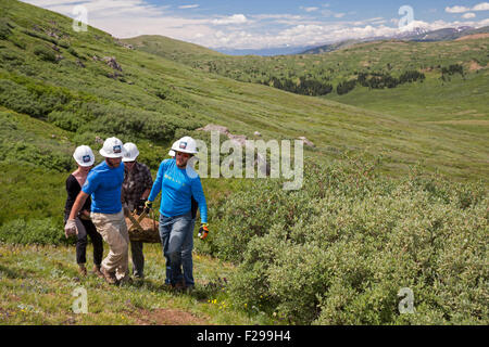 Georgetown, Colorado - Freiwilligen pflegen der Mt.-Bierstadt-Trail im Wildnisgebiet Mt. Evans. Stockfoto