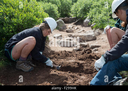 Georgetown, Colorado - Gymnasium Freiwilligen pflegen der Mt.-Bierstadt-Trail im Wildnisgebiet Mt. Evans. Stockfoto