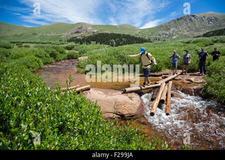 Georgetown, Colorado - Wanderer Gleichgewicht auf Protokolle während der Überfahrt eines Stroms auf der Spur von Guanella Pass nach Mt. Bierstadt. Stockfoto