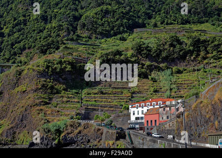 Wohnungen umgeben von Terrassenfeldern, in der Nähe von Seixal, Madeira, Portugal Stockfoto