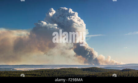 Rauch Vom Feuer Im Yellowstone National Park Stockfotografie Alamy