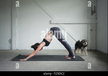 Mitte Erwachsene Frau üben nach unten schauenden Hund darstellen Sie, im Yoga-Studio, München, Bayern, Deutschland Stockfoto