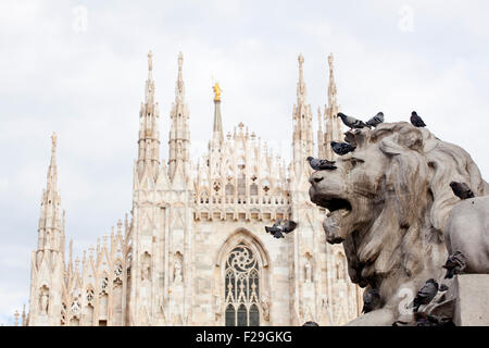 Denkmal der Löwe von Vittorio Emanuele II in Mailand - Italien Stockfoto