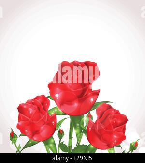 Drei Rosen für Design Hochzeitskarte Stock Vektor