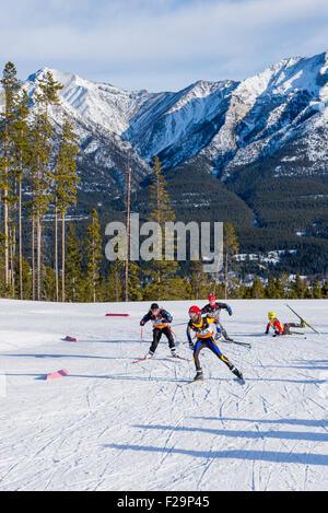 Skirennen in Canmore Nordic Centre Provincial Park, Canmore, Alberta, Kanada Stockfoto