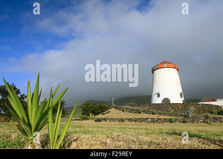 Windmühle Landschaft von Azoren, Portugal Stockfoto