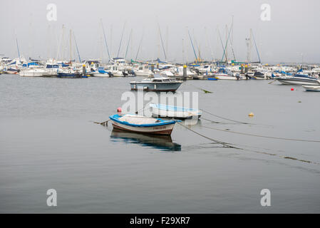 Yachten und Fischerboote im Hafen von Domaio Stockfoto