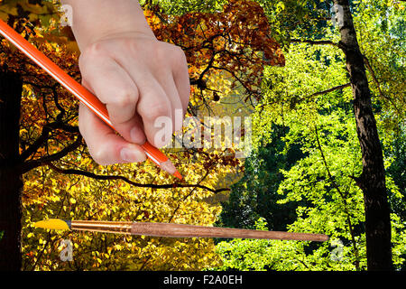 Natur-Konzept - Jahreszeiten und Wetter ändert: Hand mit Bleistift zeichnet Herbstlaub im grünen Sommer Wald Stockfoto