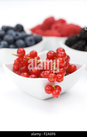 Rote Johannisbeeren, Brombeeren, Himbeeren und Heidelbeeren in weißen Schalen auf einem weißen Hintergrund. Stockfoto