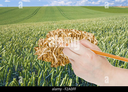 Konzept - Hand mit Bleistift die Ernte zieht Reife Ähren im grünen Feld Stockfoto