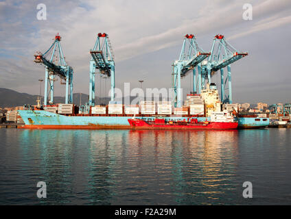 APM Terminals Containerschiff Hafen von Algeciras, Provinz Cádiz, Spanien Stockfoto