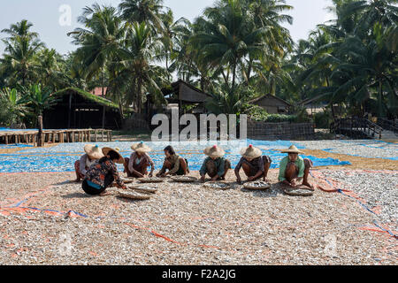 Einheimische Frauen tragen Strohhüte, sortieren Fisch in Bambus Schalen Fisch trocknen in der Sonne, hölzernen Fischerhäuser hinter, auf die Stockfoto